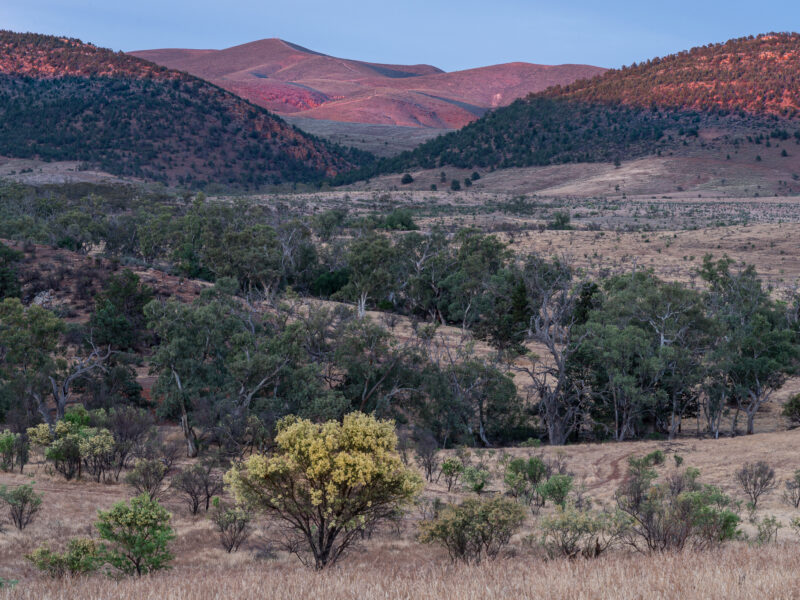 Argadells - 20251102-IMG09527 C. Arts