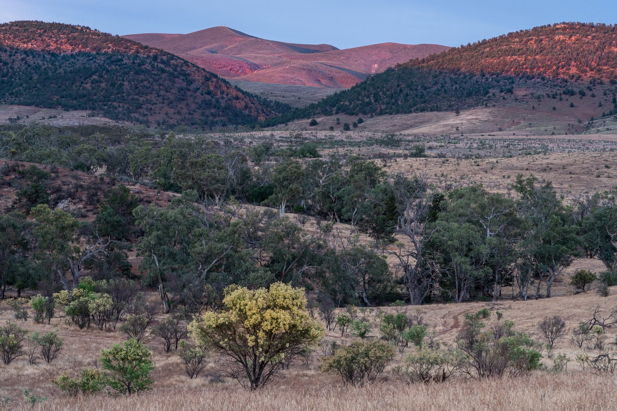 Argadells | Station Stays SA