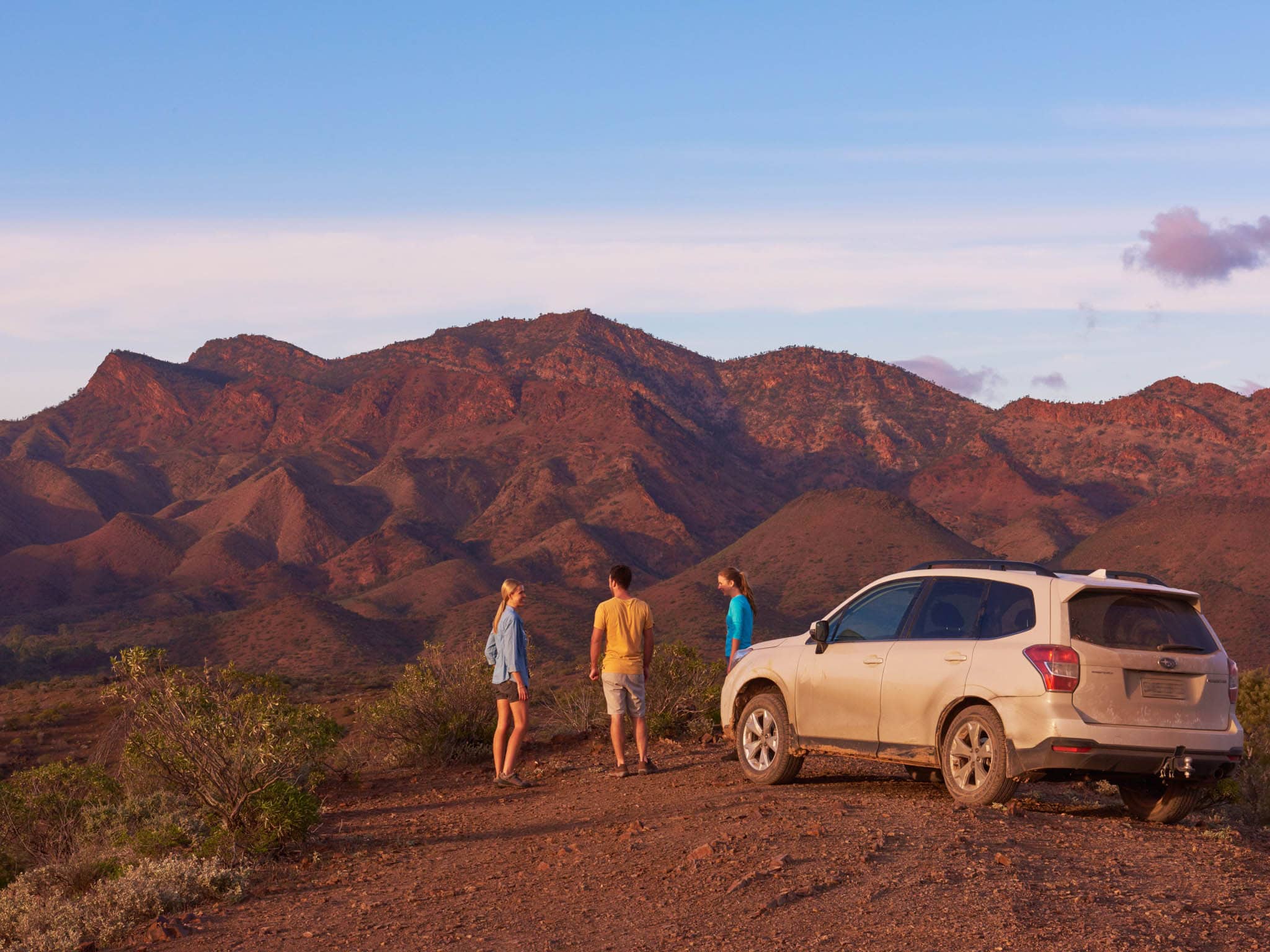 Wild George Drive Station Activities and Experiences | Station Stays SA