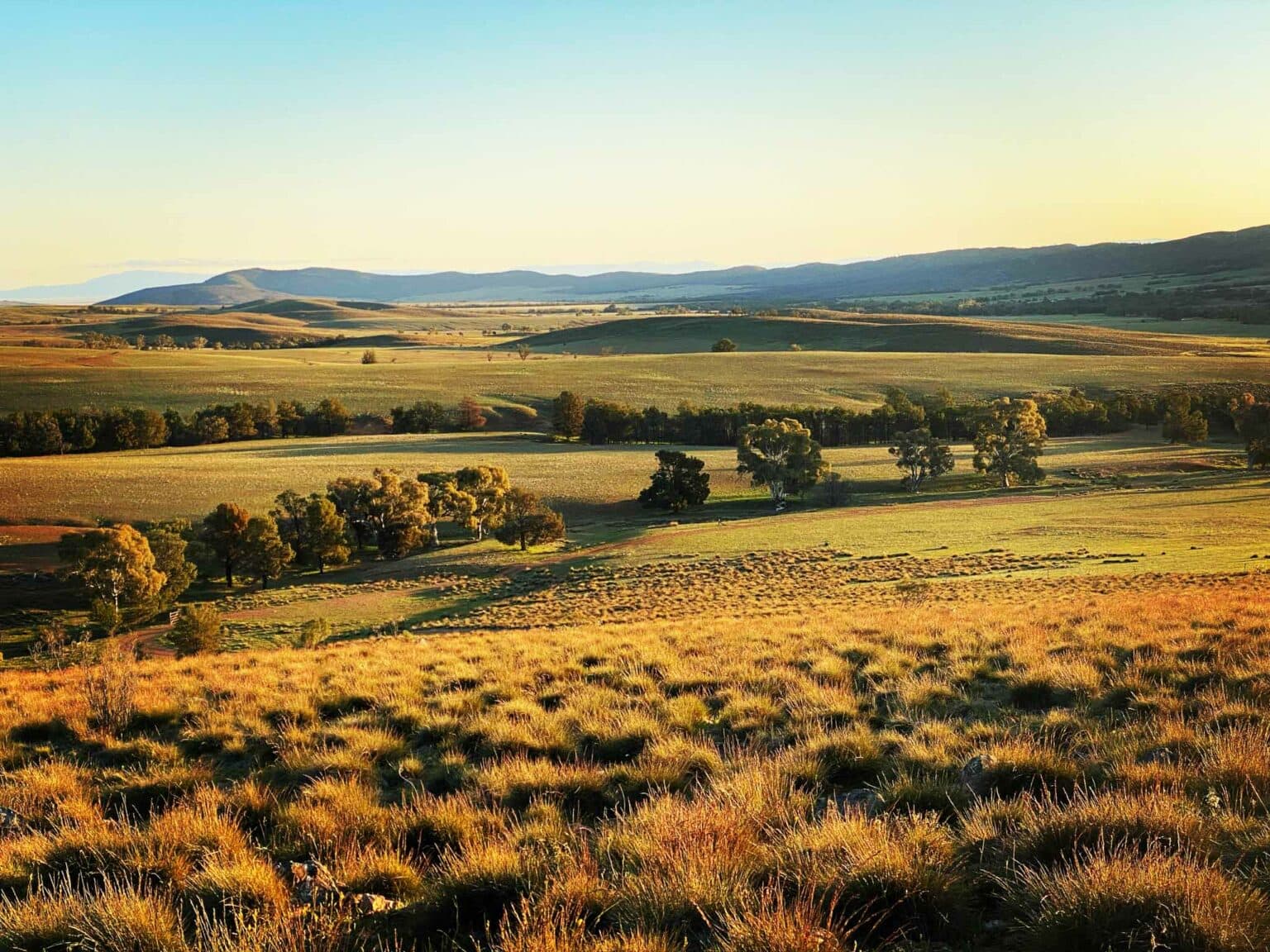 Argadells | Station Stays SA