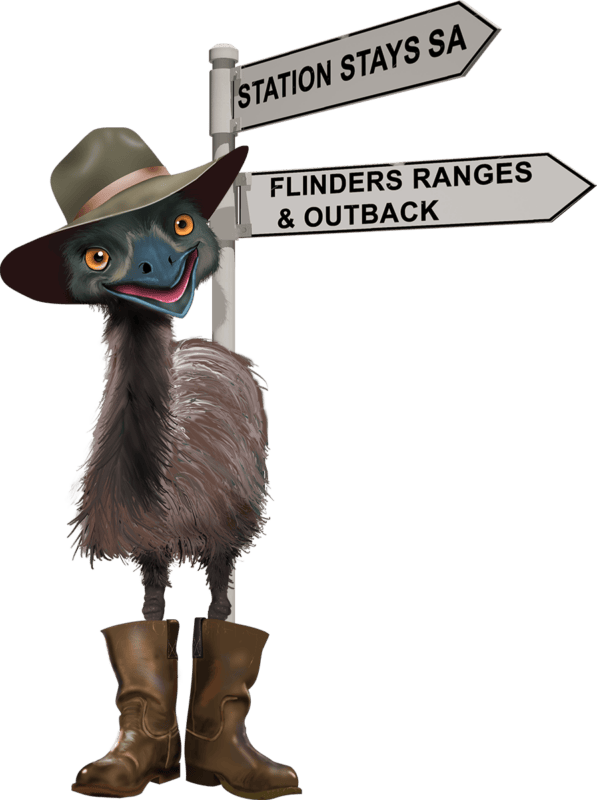 Emu With Sign Transparent